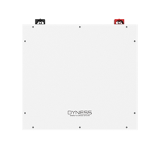 Акумуляторна батарея Dyness DL5.0C Heating (5,12 кВт*год/ 51,2 В)